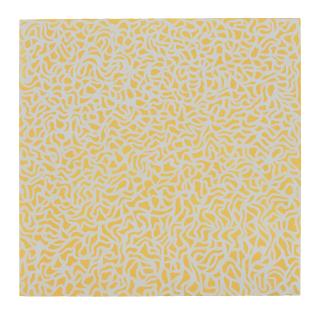 Sol Lewitt - Irregular Grid