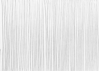 Sol Lewitt - Vertical lines not straight, not touching, uniformly dispersed with maximum density; covering the entire surface of the paper