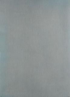 Sol LeWitt - Vertical not straight lines not touching on color