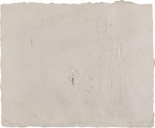 Somnath Hore - Wounds - 43