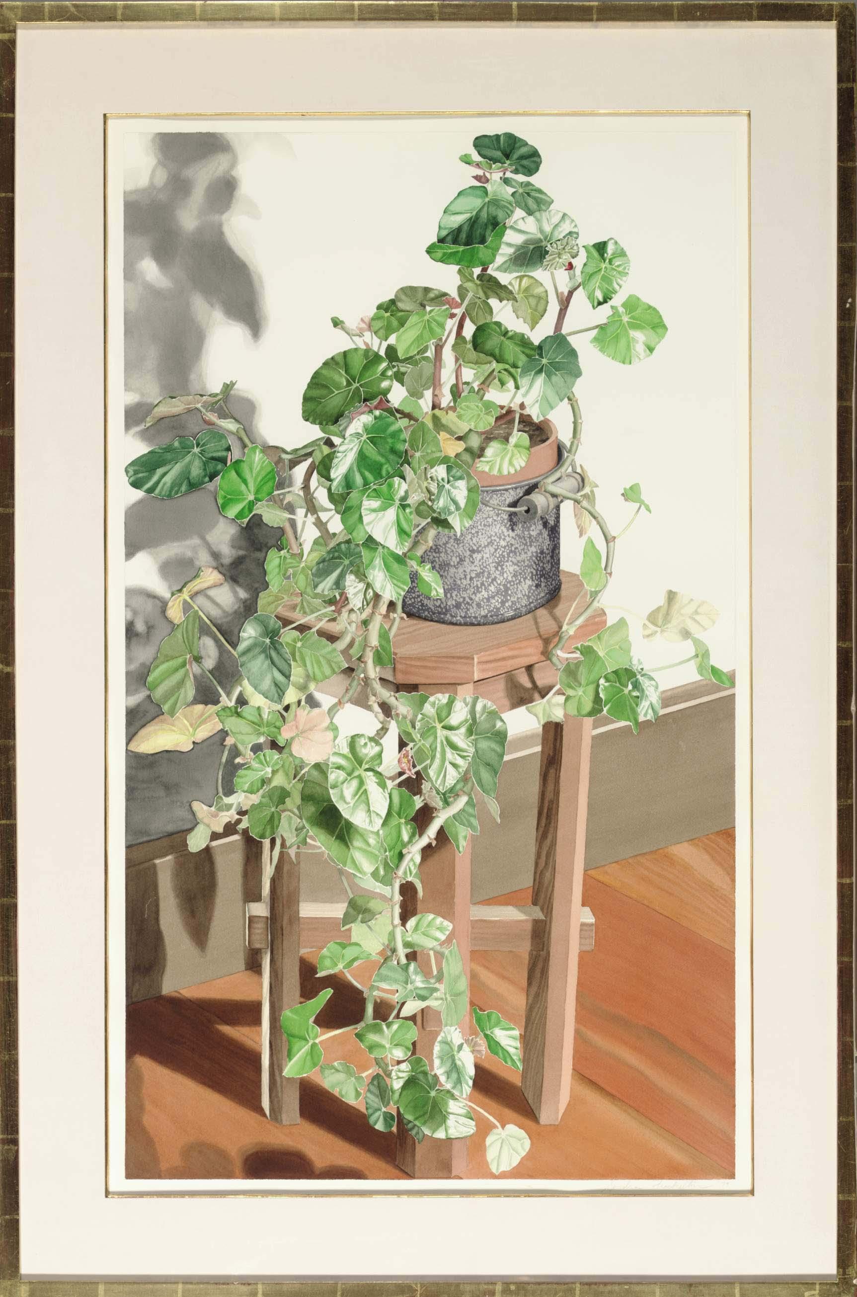 Sondra Freckelton - Trailing Begonia