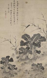 Song Baochun - Cabbage