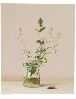 Song Yu - Green Melody