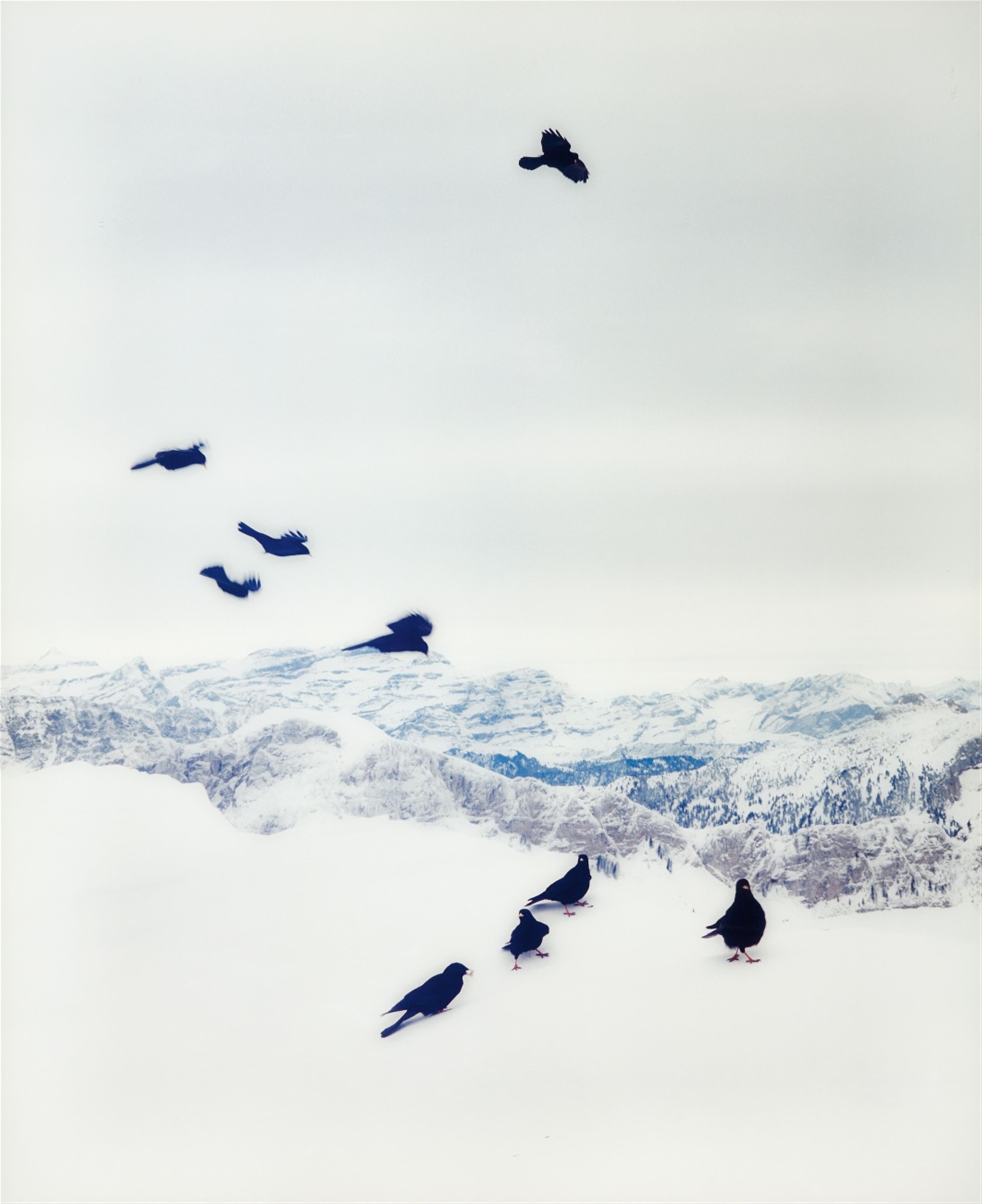 Sonja Braas - # 10 (aus: You Are Here)