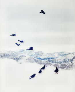 Sonja Braas - # 10 (aus: You Are Here)