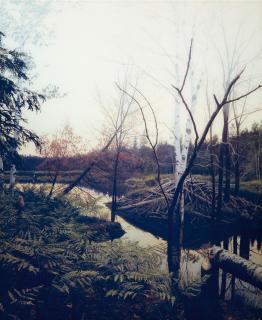 Sonja Braas - # 6 (aus: You Are Here)