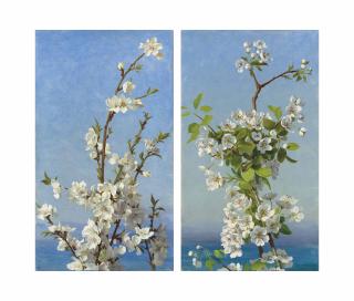 Sophie Anderson - Two Studies Of Hawthorn Blossom, Capri
