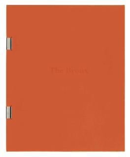 Sophie Calle - Bronx