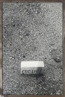 Sophie Calle - Brother