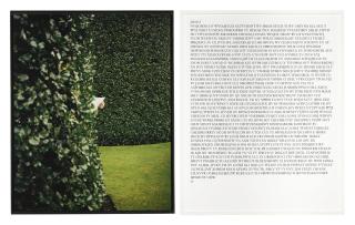 Sophie Calle - Prenez Soin De Vous. Officier Traitant De La Dgse, Louise (Take Care Of Yourself. French Intelligence Officer, Louise)