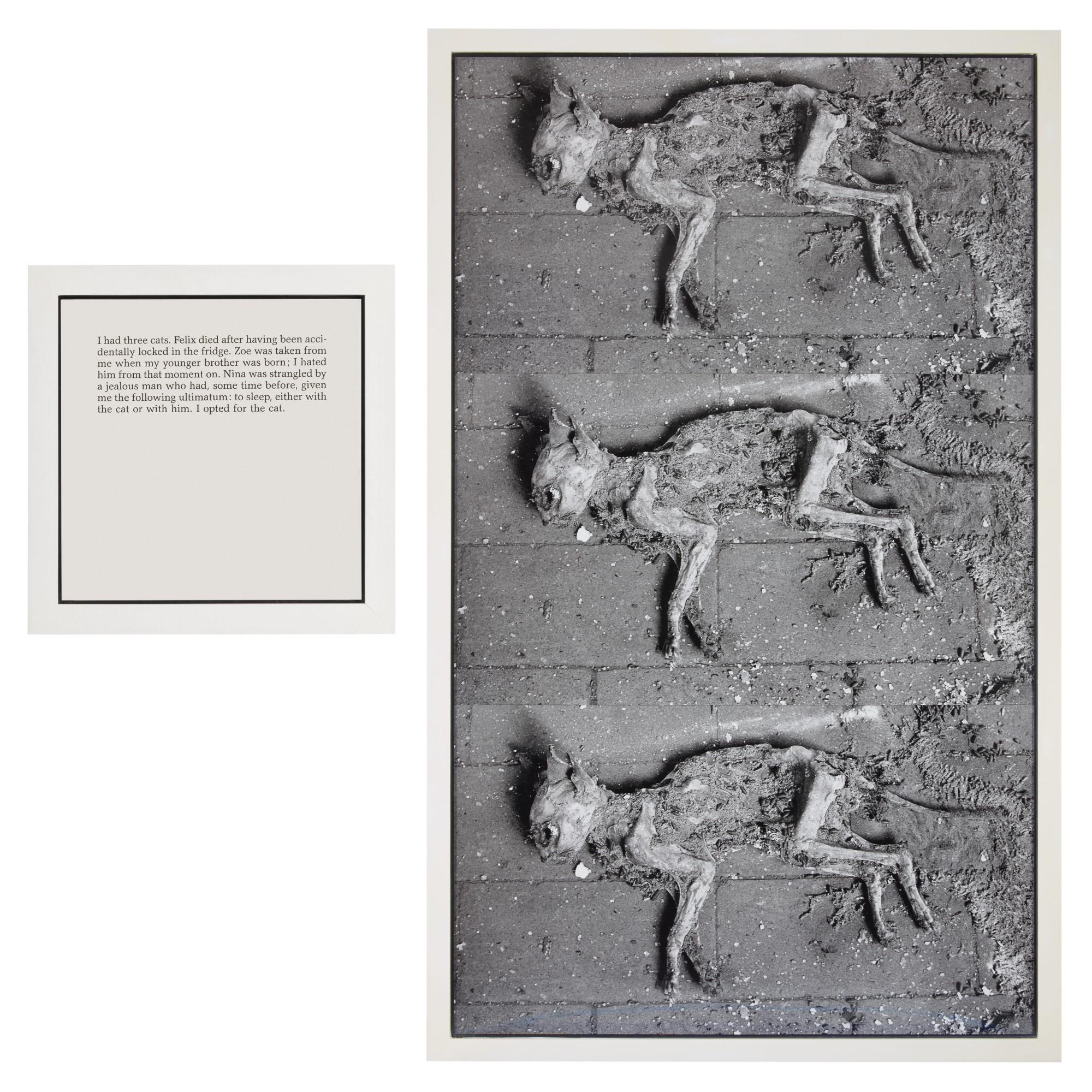 Sophie Calle - The Cats (From Autobiographies)