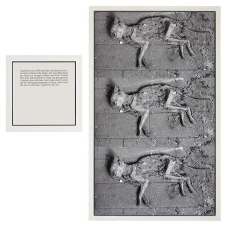 Sophie Calle - The Cats (From Autobiographies)