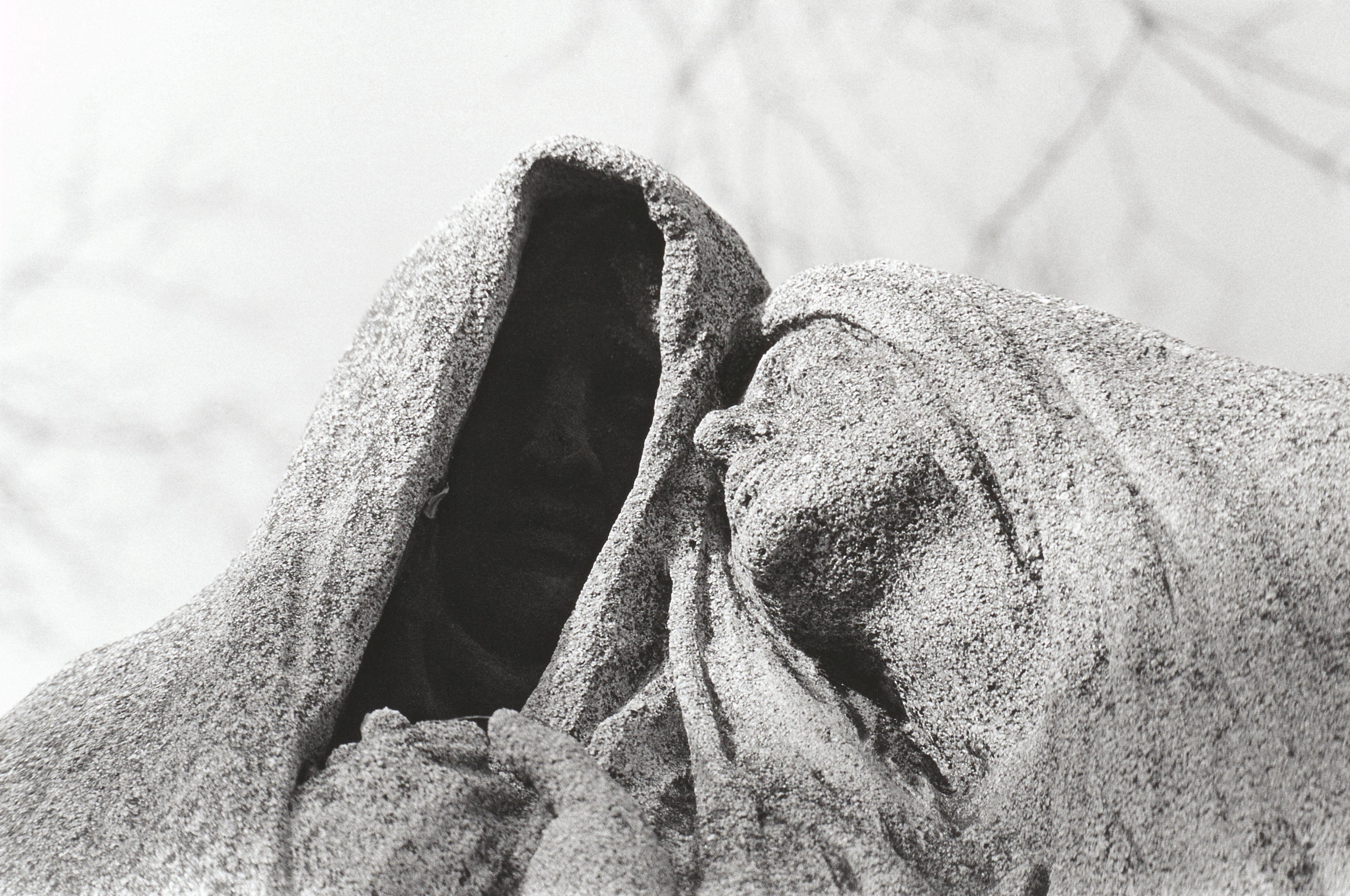 Sophie Calle - Untitled