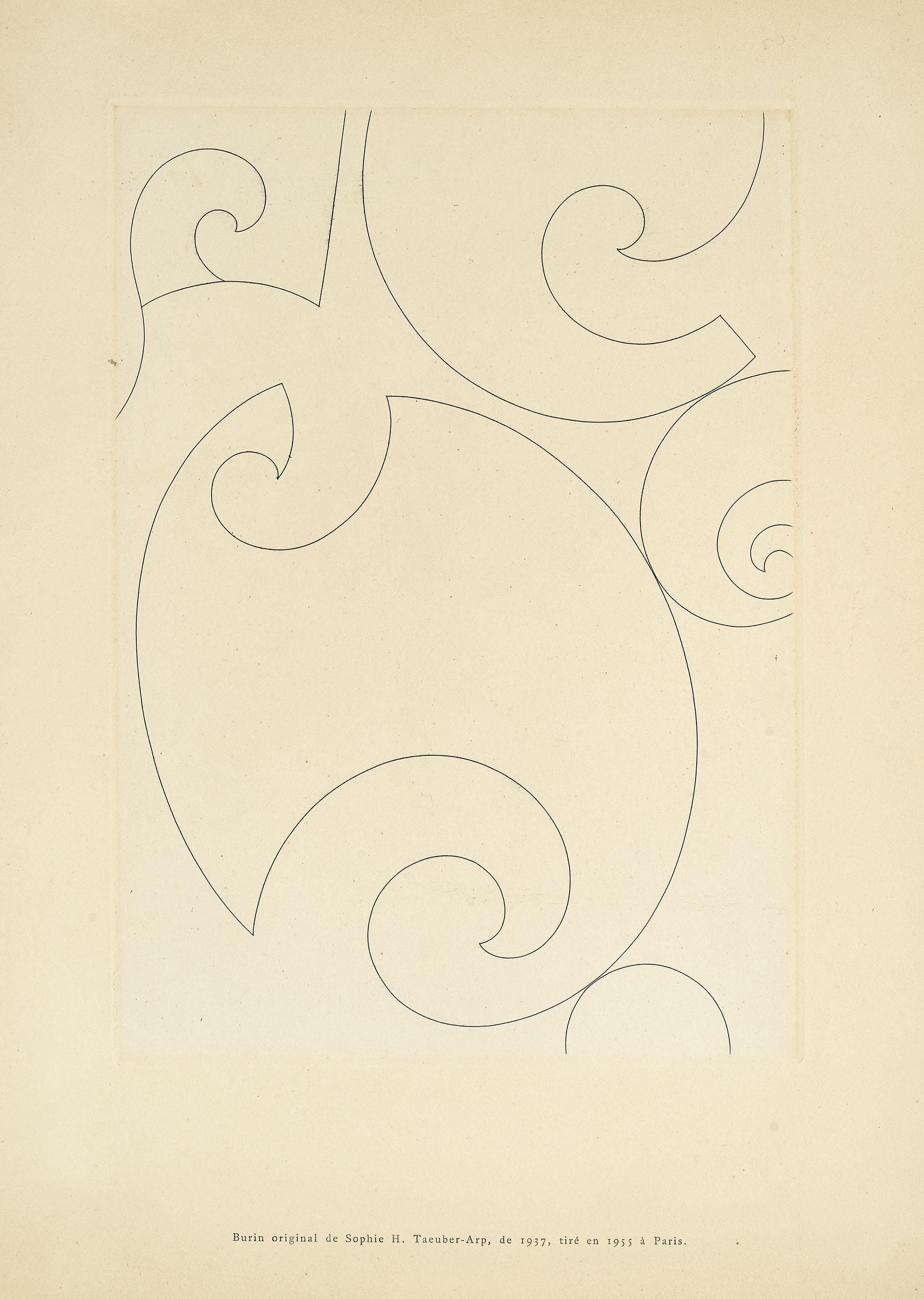 Sophie Taeuber-Arp - Coquilles