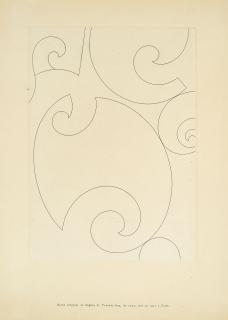 Sophie Taeuber-Arp - Coquilles