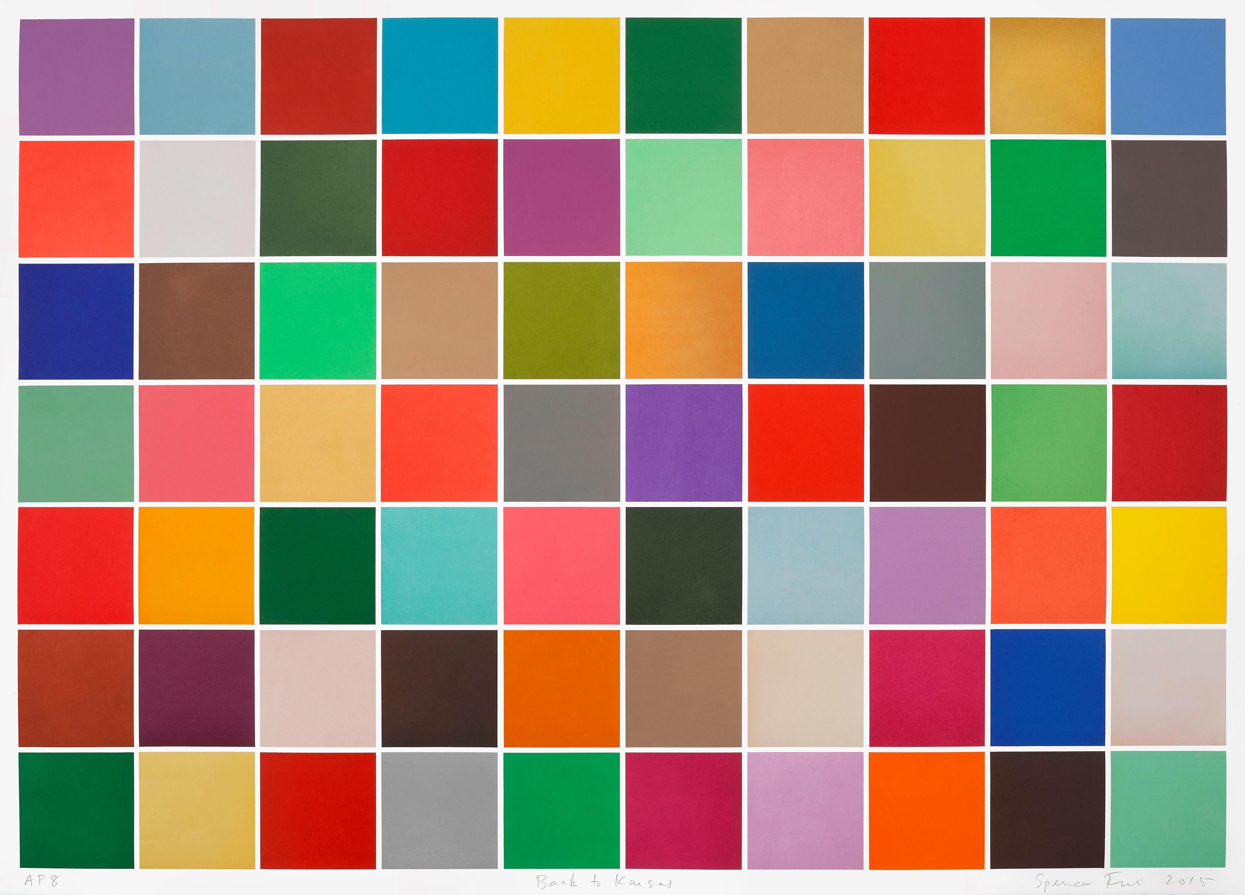 Spencer Finch - Back to Kansas