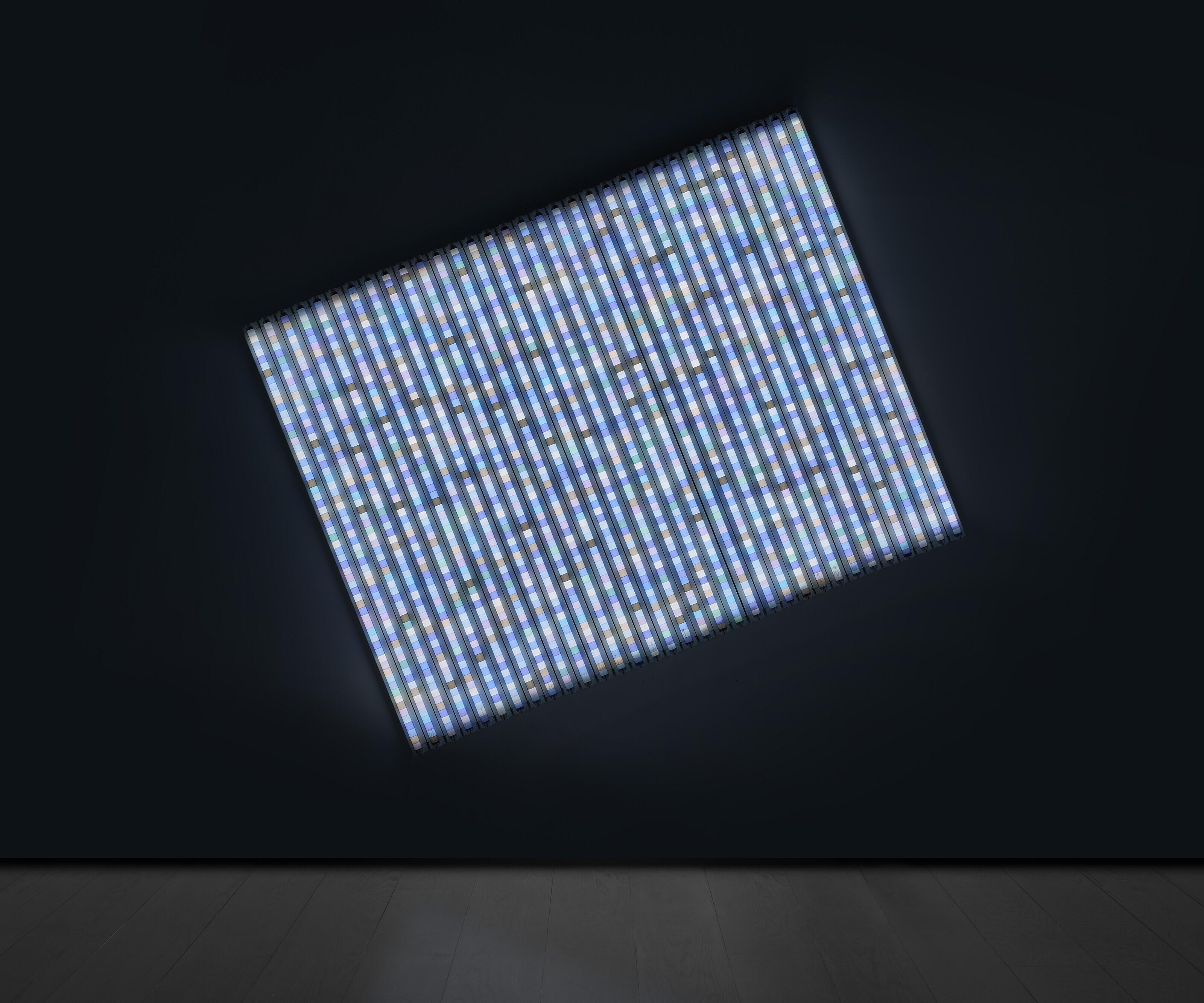 Spencer Finch - Snow Shadow (Giverny, January 8, 2003 1:10pm)