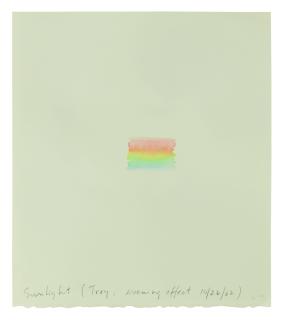 Spencer Finch - Sunlight (Troy Evening Effect 10/26/02)