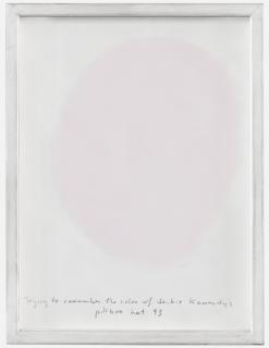 Spencer Finch - Try to remember the colour of Jackie Kennedy\'s pillbox hat 43