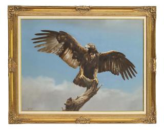 Spencer Hodge - Eagle