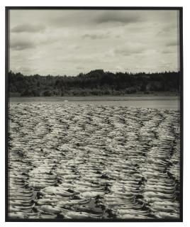 Spencer Tunick - Maine, 1997