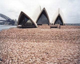 Spencer Tunick - Sydney 1 (Opera House) 