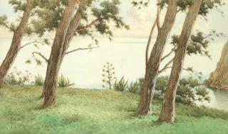 Spyridon Scarvelli - A View Through The Trees On Corfu