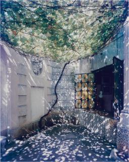 Stan Douglas - Villa Orestes Ferrara / Napoleon Museum, Vedado