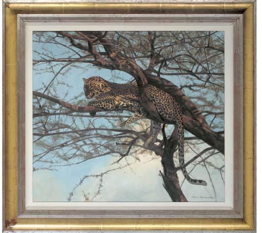 Stan Kaminski, A.R.B.S.A., W.N.A.G. - African Leopard In A Tree