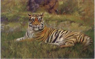 Stan Kaminski, A.R.B.S.A, W.N.A.G. - Persian Prince