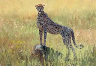 Stan Kaminski, R.B.S.A., W.N.A.G. - Cheetah lookout