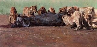 Stan Kaminski, R.B.S.A., W.N.A.G. - Lion feast