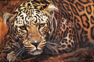 Stan Kaminski - Leopard