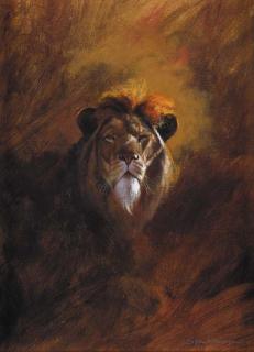 Stan Kaminski - Lion