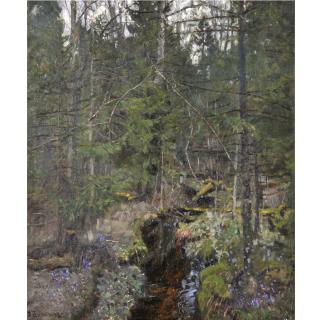 Stanislaw Zukowski - Polish forest
