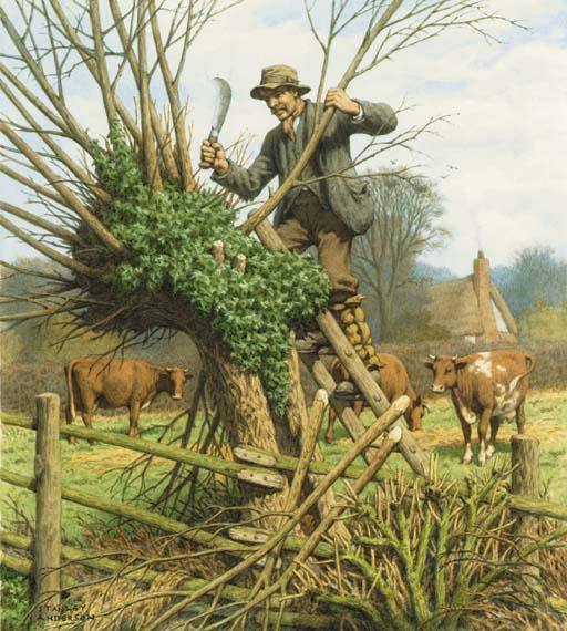 Stanley Anderson - Lopping the Willow (illustrated); and The Village Inn