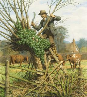 Stanley Anderson - Lopping the Willow (illustrated); and The Village Inn