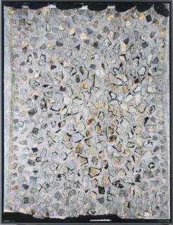 Stanley Boxer - Wandernauswunder (Wanderoutwonder)