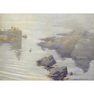 Stanley Cursiter - British cormorant Fishing