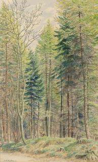 Stanley Roy Badmin R.W.S. - Mixed Conifers, April