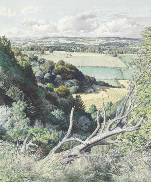 Stanley Roy Badmin, R.W.S. - The Steep Wood