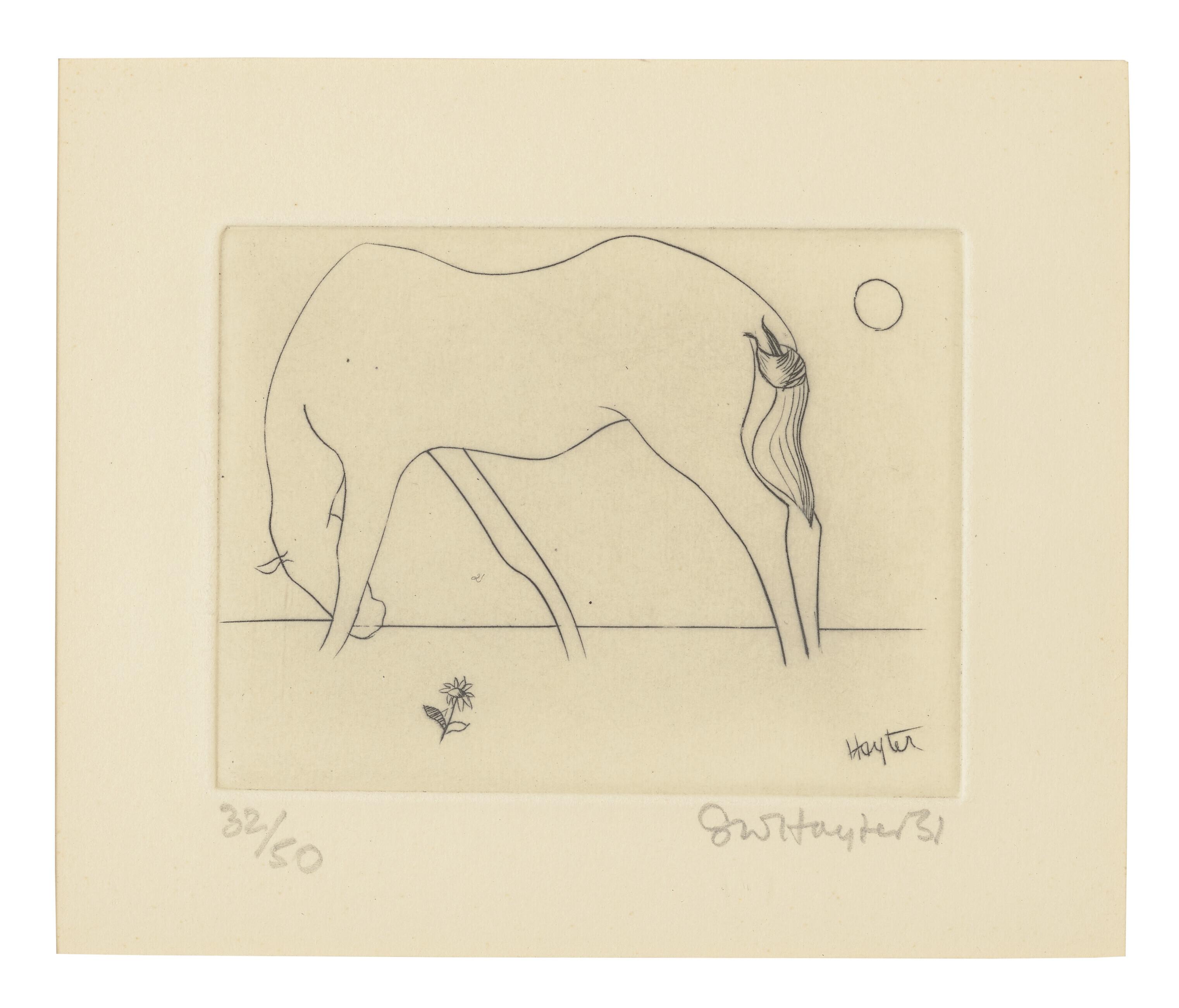 Stanley William Hayter - Small Horse