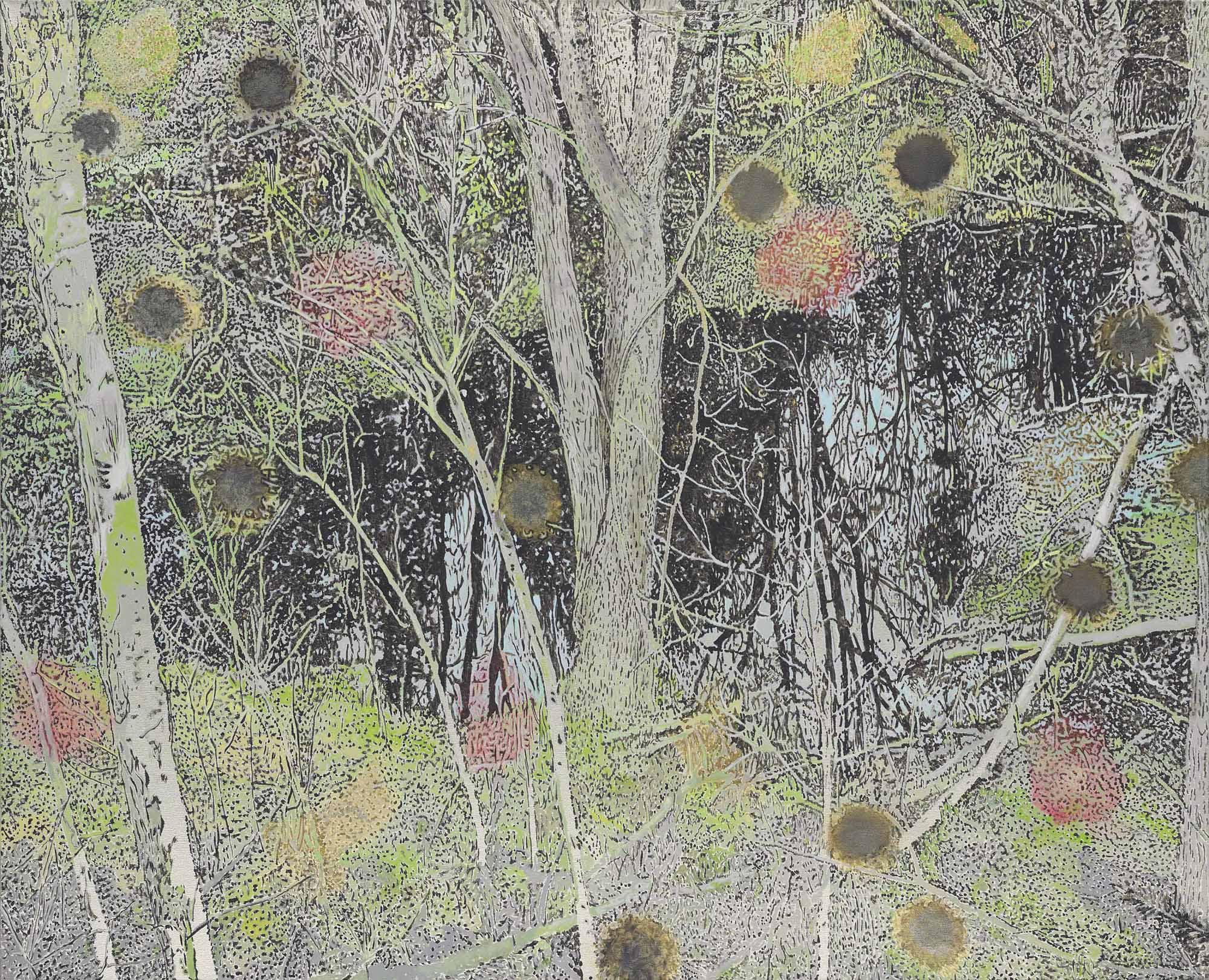 Stefan Kürten - Nova Scotia