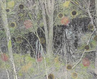 Stefan Kürten - Nova Scotia