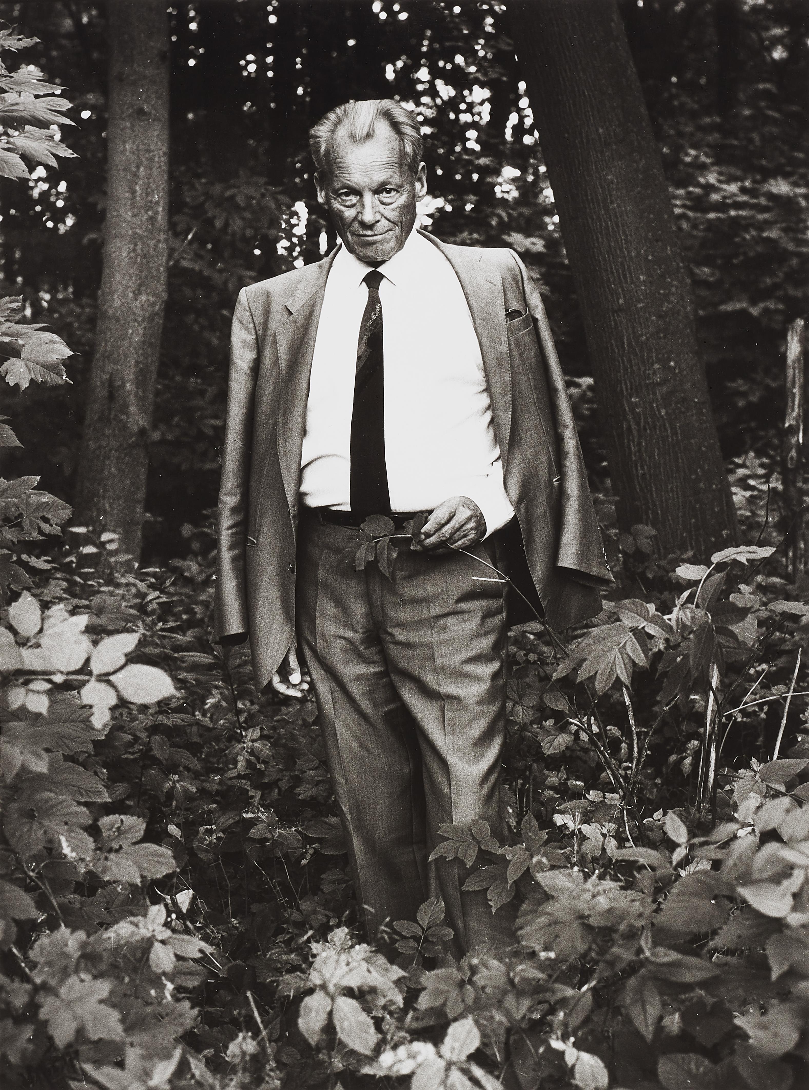 Stefan Moses - Willy Brandt, Siebengebirge (aus der Serie: Im Wald)