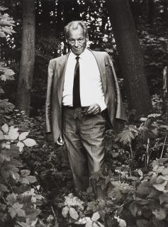 Stefan Moses - Willy Brandt, Siebengebirge (aus der Serie: Im Wald)