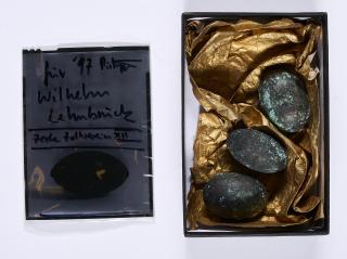 Stefan Pietryga - für Wilhelm Lehmbruck (3 Eier)