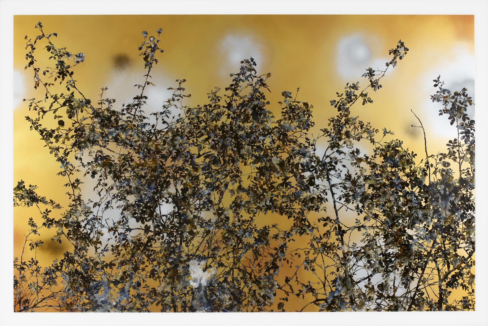 Stefan Sehler - Ohne Titel