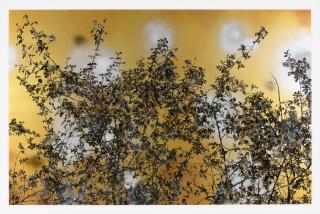 Stefan Sehler - Ohne Titel