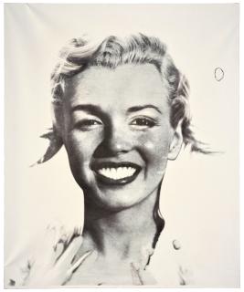 Stefano Arienti - Senza titolo (Marilyn)
